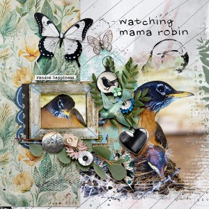 Watching Mama Robin