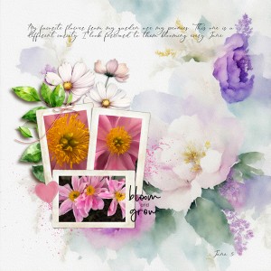 2025-6-5--peonies_600web