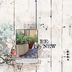 2506-Renewing-copy