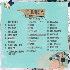 June Mixed Media Photo Challenge Ideas