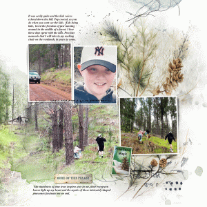 Into-the-woods-rp
