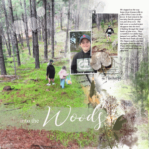 Into-the-woods-lp