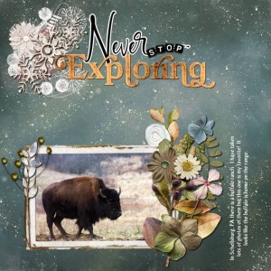 Where the Buffalo Roam