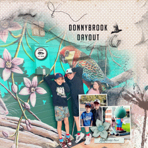 Donnybrook-lp