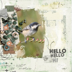 Hello