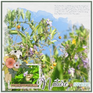 2025-03-07_NatureIsSweet