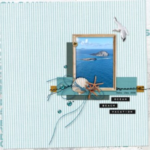 Ocean-beach-vacation