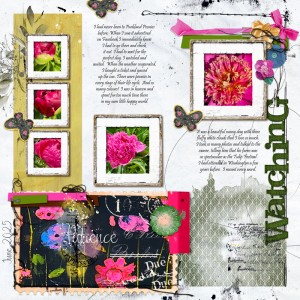 Peonies