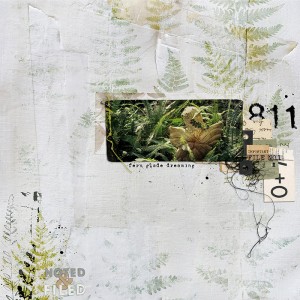 FERN GLADE DREAMING