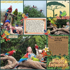Winged Encounters | Week 1 - Ready Set Go