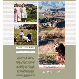 Homes - Tauwhare