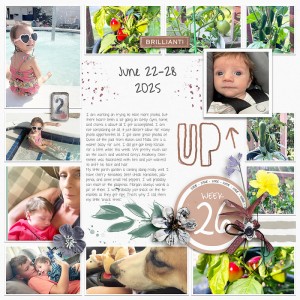 2025 | Week-26