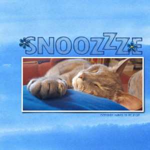 Snoozzze