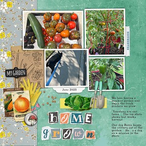 Home Grown - Ready, Set, Go