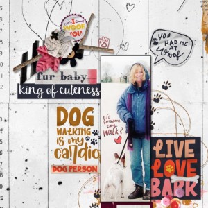 Crazy-Dog-Lady