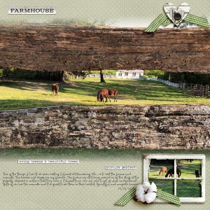 On the Farm