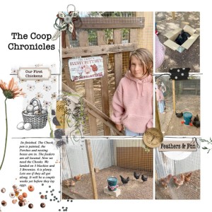 Coop-lp-2