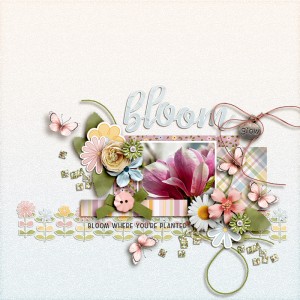 FF_jul25_SK_Bloom