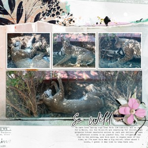 2507-BobCat-BarnyardBuds-copy