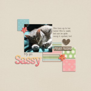 Sassy