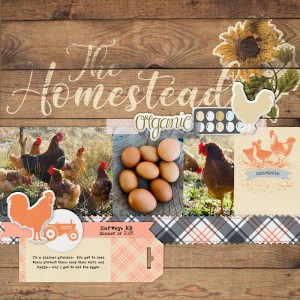 The Homestead