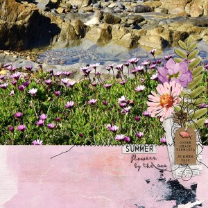 SUMMER FLOWERS