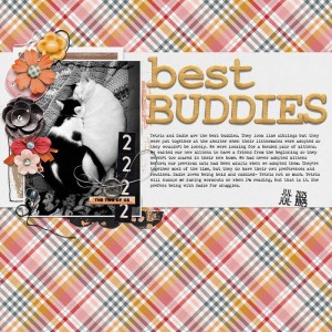 SC2025_week4-Buddies