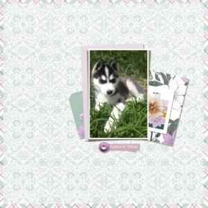 Barnyard buddies: Milo