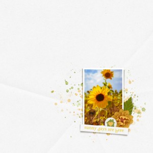 Kim Jensen July 2025 Challenge