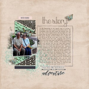 The-story