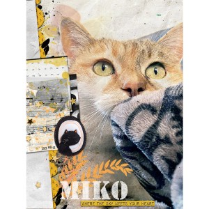 Miko, where the sky meets your heart