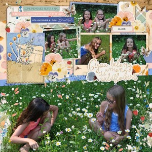 Wildflowers