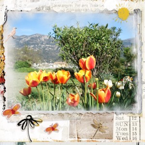 Tulipes