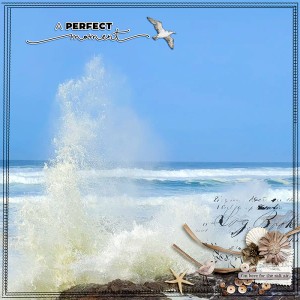 A Perfect Moment
