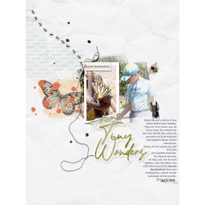 Tiny wonders