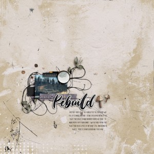 Rebuild