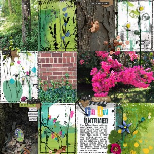 Nature Walk | Week 6 At One With Nature