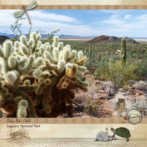 Week 6 - Photograph Nature Challenge