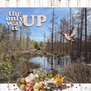 Up