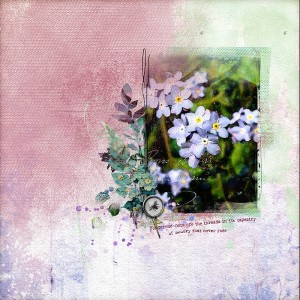 Forget-me-nots