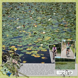 Nature Photography Challenge Week 6