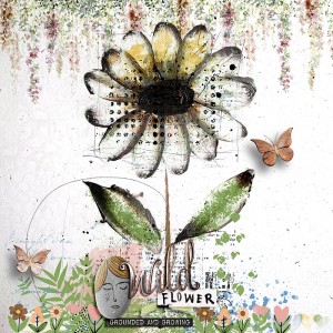 Wild flower