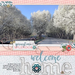 Welcome Home | TLP Week 6 Nature Photography