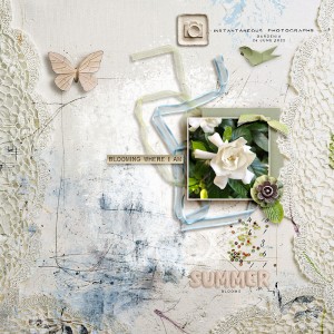 Gardenia
