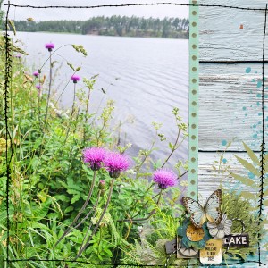 Lakeside view