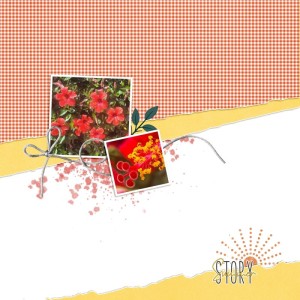Summer Story