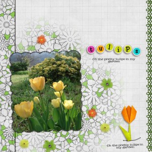Tulips