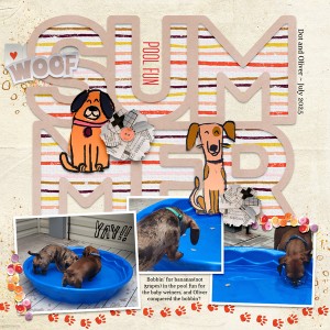 Summer Pool Fun