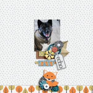 barnyard buddies - echo