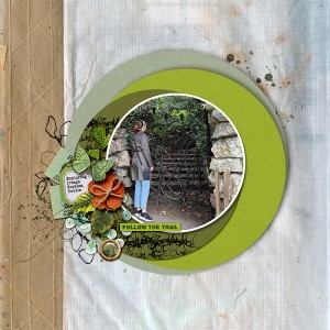 Iveagh Gardens